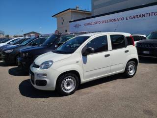 FIAT Panda usata, con Cronologia tagliandi