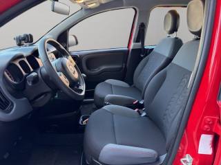 FIAT Panda usata 6