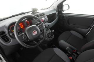 FIAT Panda usata 7