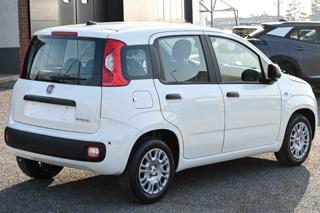FIAT Panda usata, con Antifurto