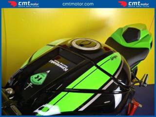 KAWASAKI Ninja 1000 ZX-10R usata 14