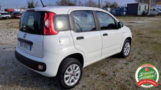 FIAT Panda usata, con Airbag