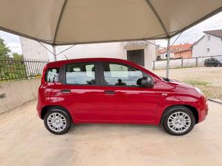 FIAT Panda usata, con Airbag Passeggero