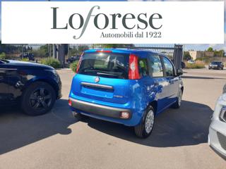 FIAT Panda usata, con Antifurto