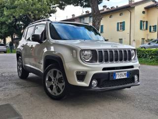 JEEP Renegade usata 100