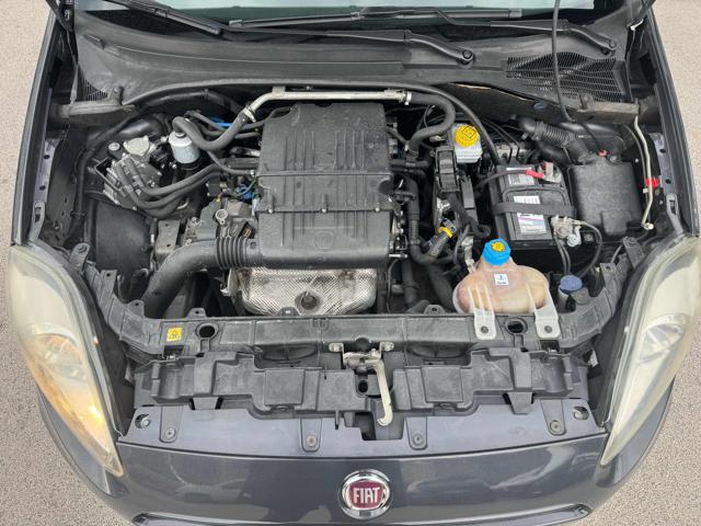 FIAT Punto usata 19