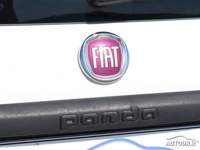 FIAT Panda usata 48