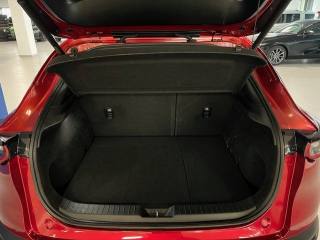 MAZDA CX-30 usata, con Regolazione elettrica sedili