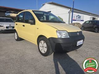 FIAT Panda usata 2