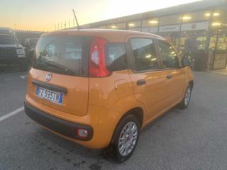 FIAT Panda usata, con Alzacristalli elettrici