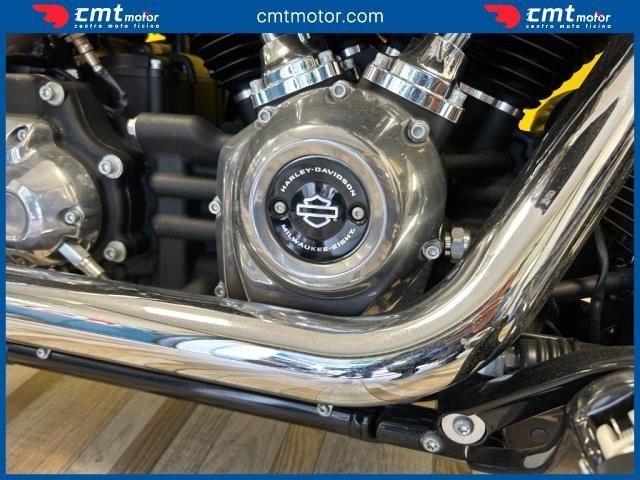 HARLEY-DAVIDSON Softail Standard usata 14