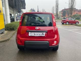 FIAT Panda usata, con Alzacristalli elettrici