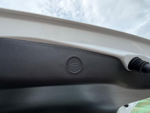 TESLA Model 3 usata, con Controllo elettronico della corsia