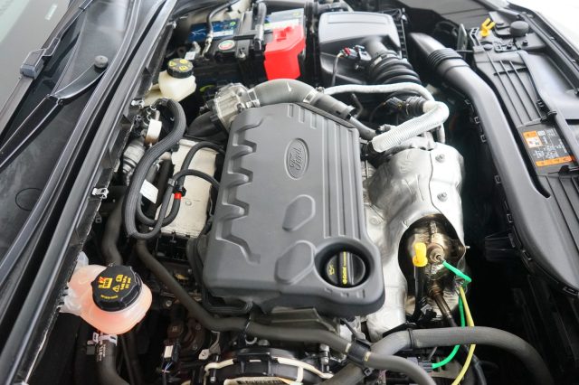 FORD Focus usata 59