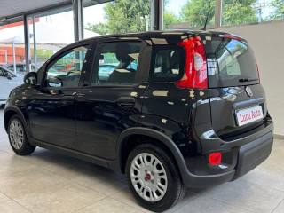 FIAT Panda usata, con Climatizzatore