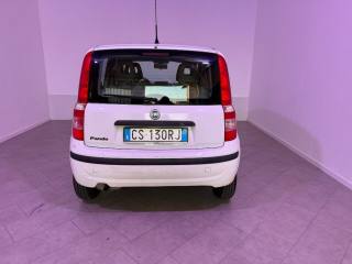 FIAT Panda usata 7