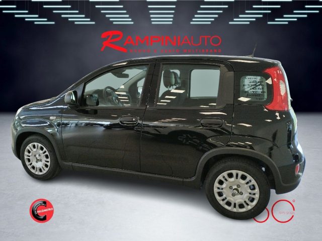 FIAT Panda usata 9