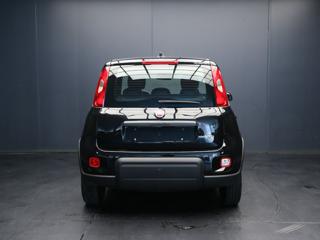 FIAT Panda usata, con Alzacristalli elettrici