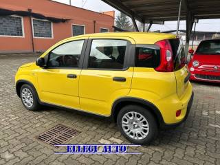 FIAT Panda usata, con Servosterzo