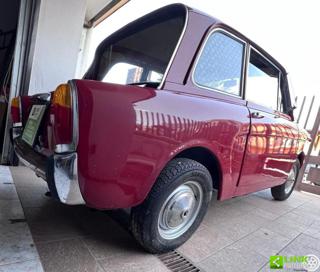AUTOBIANCHI Bianchina usata 52
