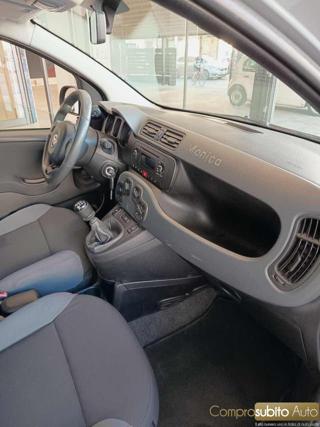 FIAT Panda usata 13