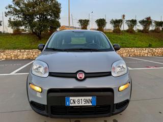 FIAT Panda usata 27