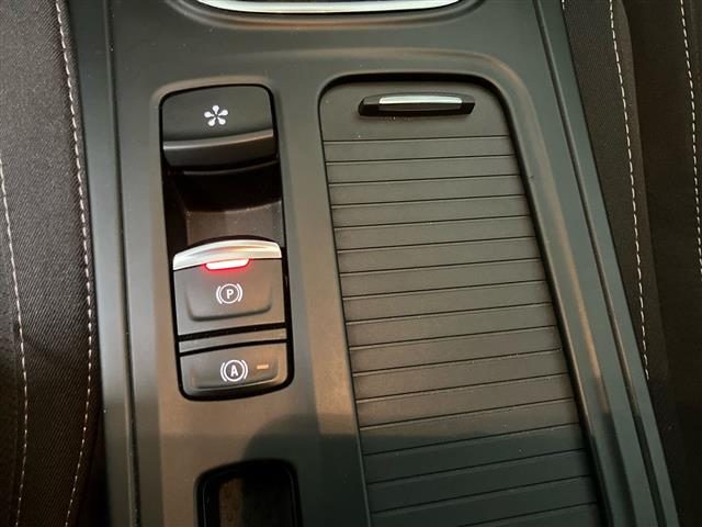 RENAULT Megane usata 27