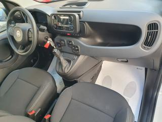 FIAT Pandina usata, con ESP