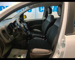 FIAT New Panda usata 12