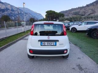 FIAT Panda usata, con Antifurto