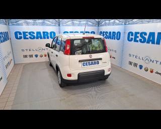 FIAT New Panda usata, con Airbag Passeggero