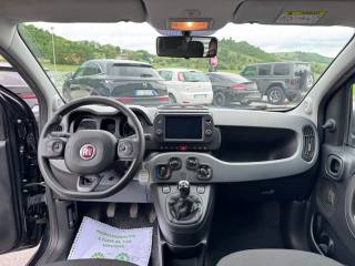 FIAT Panda usata, con Servosterzo