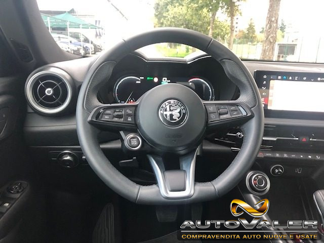 ALFA ROMEO Tonale usata, con Cronologia tagliandi