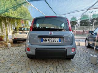 FIAT Panda usata, con Chiusura centralizzata