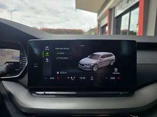 SKODA Octavia usata 51