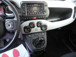 FIAT Panda Cross usata, con Controllo trazione