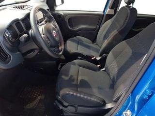 FIAT Panda Cross usata, con Airbag Passeggero