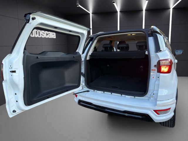 FORD EcoSport usata, con Bracciolo