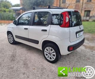 FIAT Panda usata 13