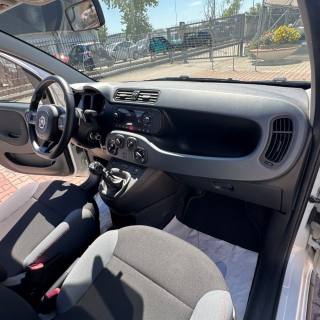 FIAT New Panda usata, con Airbag testa