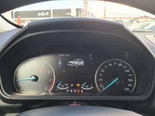 FORD EcoSport usata, con Sensore di luce