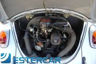 VOLKSWAGEN Maggiolino usata 11