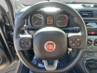 FIAT Panda usata, con Antifurto