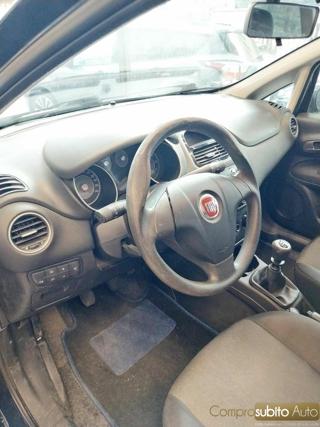FIAT Punto usata 19