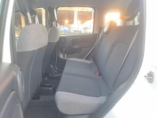 FIAT Panda usata, con Sedile posteriore sdoppiato