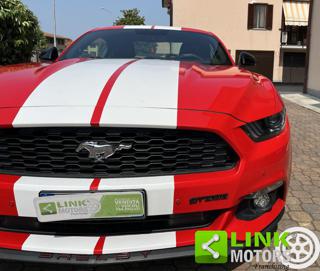 FORD Mustang usata, con Bracciolo