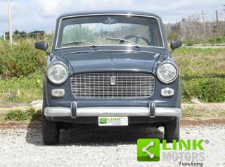 FIAT 1100 usata 1