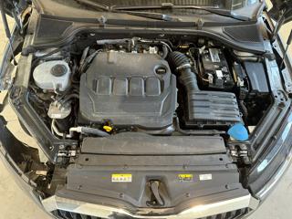 SKODA Octavia usata, con Cruise Control