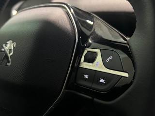 PEUGEOT 3008 usata, con Fendinebbia