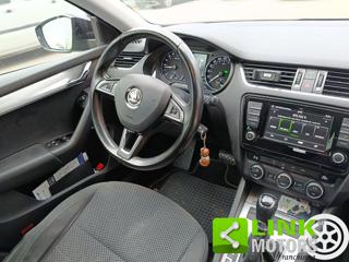SKODA Octavia usata, con Fendinebbia